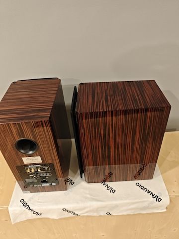 Dynaudio XD 20 Aktiv-Lautsprecher