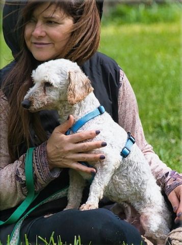 Bunny - ein liebenswerter Pudelmix