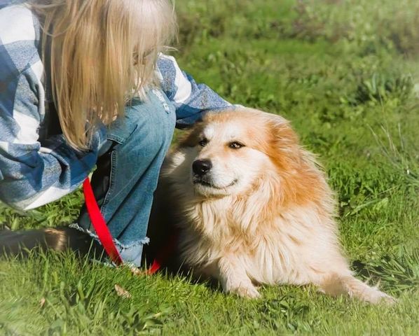 Rolex - anhänglich und aufgeschlossen