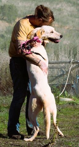 Doya - ein großer Schatz