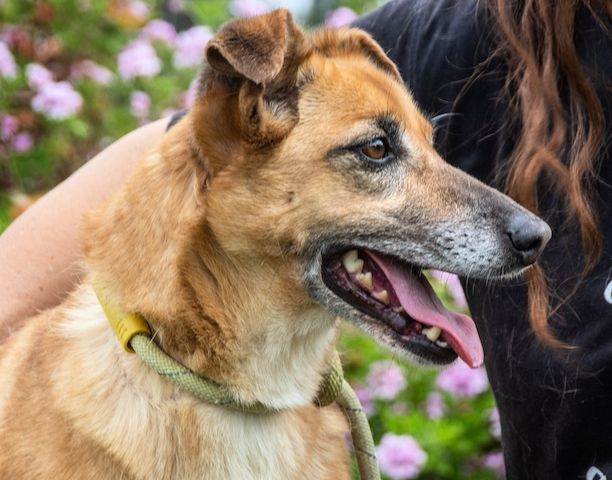 Sunny - eine selbstbewusste Dame