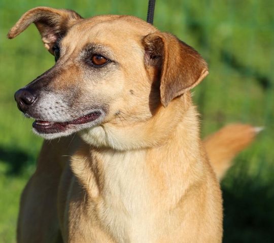 Sunny - eine selbstbewusste Dame