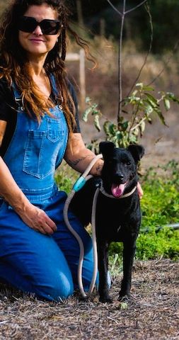 Mattheus - ein sanfter Begleiter