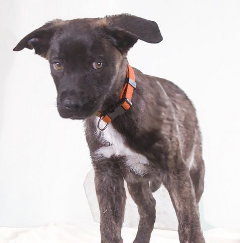 Noel - klug und zugewandt