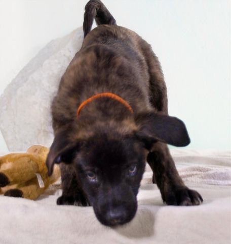 Noel - klug und zugewandt