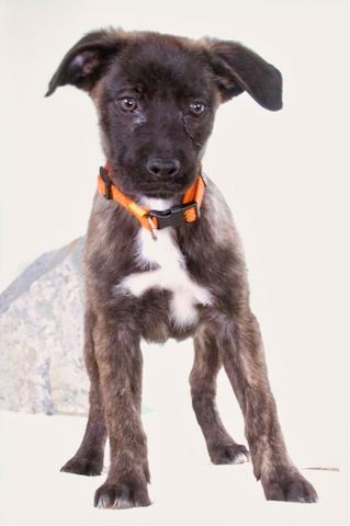 Noel - klug und zugewandt