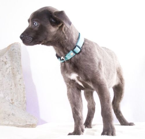 Noelly - voller Lebensfreude