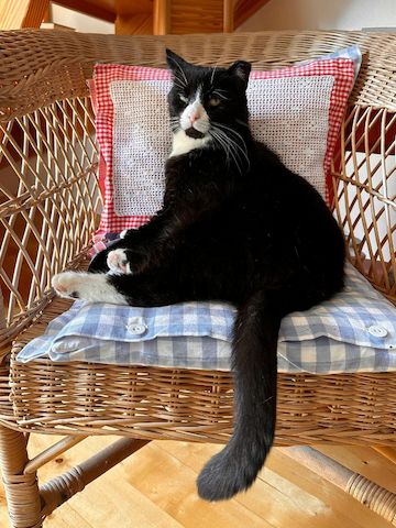 Käpt´n MORLOCK sucht Ankerplatz ohne Crew