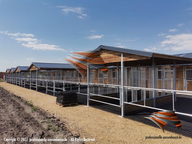 Futterraufe & Heuraufe, Pferderaufe und Fressgitter | ACTIVE Pferdehaltung