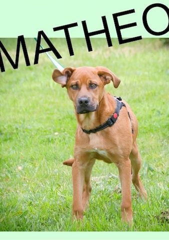 Matheo - will die Welt entdecken