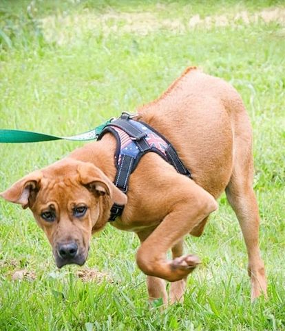 Matheo - will die Welt entdecken