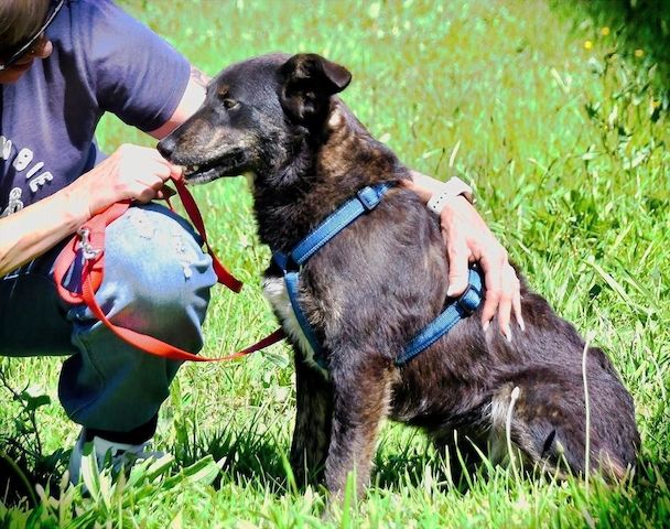 Amora - eine liebe Seele