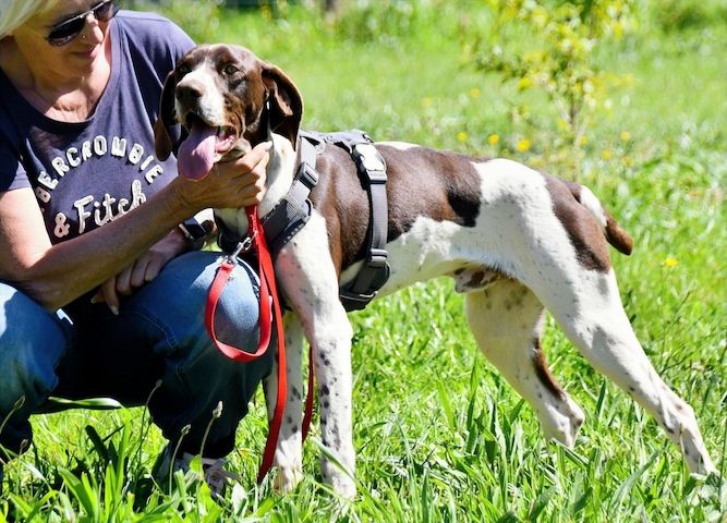 Scout - bereit für Abenteuer