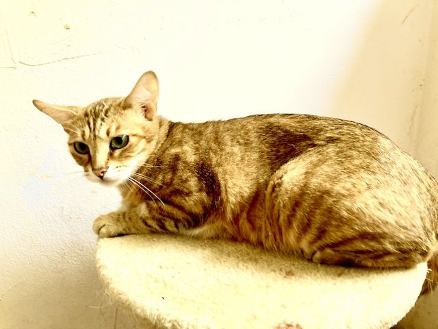 Madeleine wünscht sich Freiheit