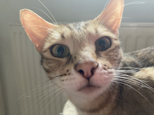 Madeleine wünscht sich Freiheit