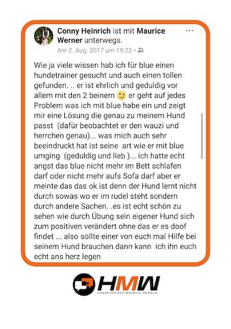 Professionelles Hundetraining – Persönlich oder auch via Video