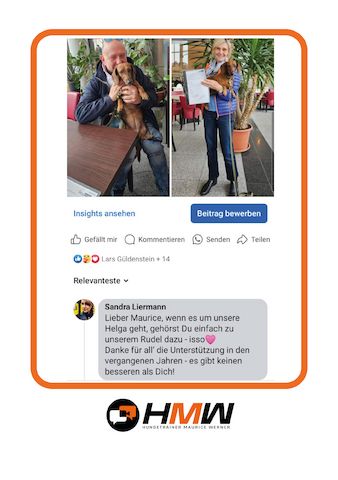 Professionelles Hundetraining – Persönlich oder auch via Video