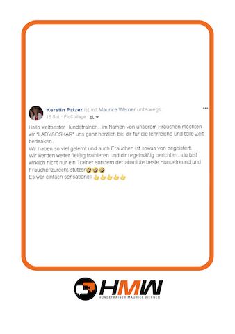 Professionelles Hundetraining – Persönlich oder auch via Video