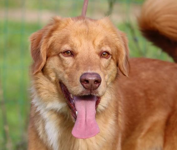 Barro - voller Leben und Herzenswärme