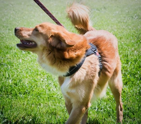 Barro - voller Leben und Herzenswärme