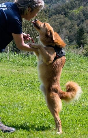 Barro - voller Leben und Herzenswärme