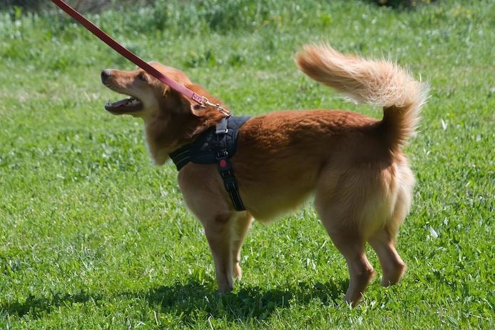 Barro - voller Leben und Herzenswärme