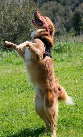 Barro - voller Leben und Herzenswärme