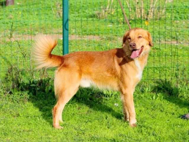 Barro - voller Leben und Herzenswärme