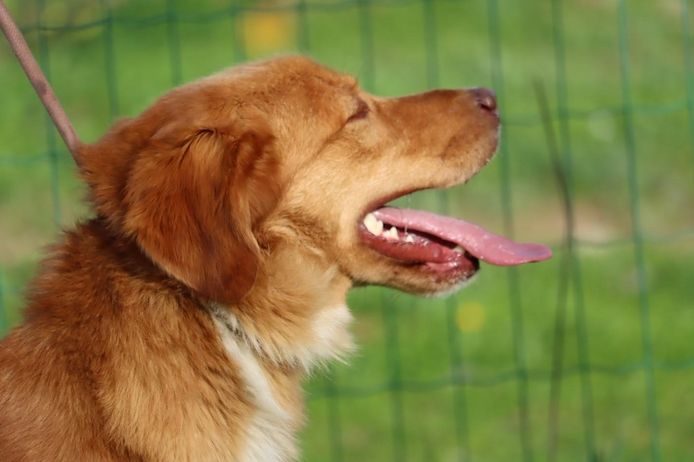 Barro - voller Leben und Herzenswärme