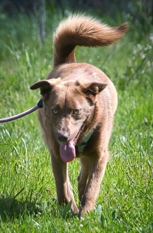 Amendoa - ein kesses Mädchen