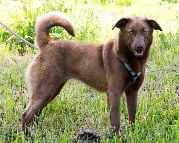 Amendoa - ein kesses Mädchen