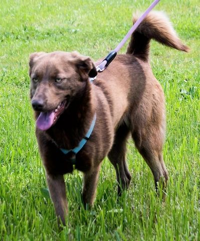 Amendoa - ein kesses Mädchen