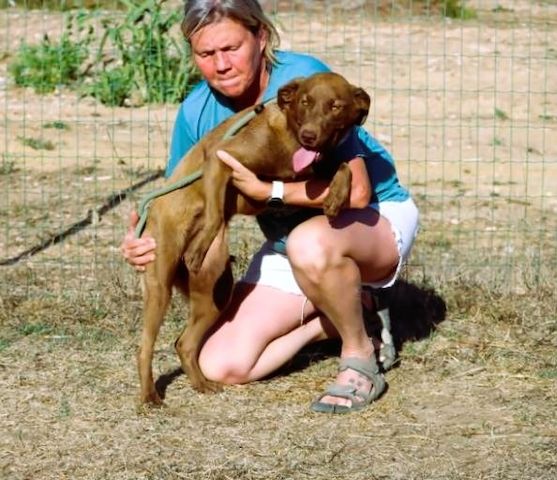 Amendoa - ein kesses Mädchen