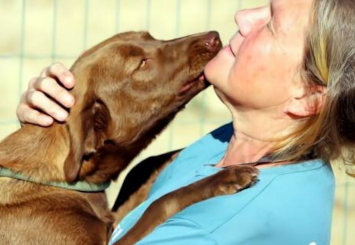 Amendoa - ein kesses Mädchen