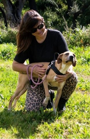 Bachi - ein liebenswerter Schatz