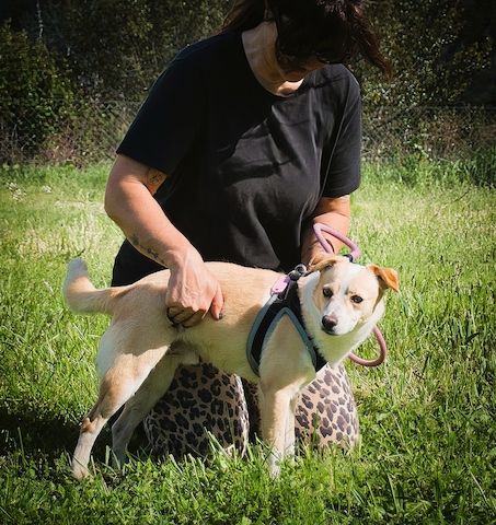 Dakar - ein sanfter Schatz