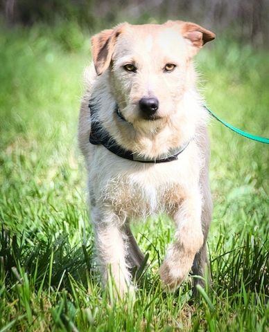Patrick - auf dem Weg ins Vertrauen