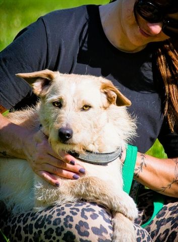 Patrick - auf dem Weg ins Vertrauen