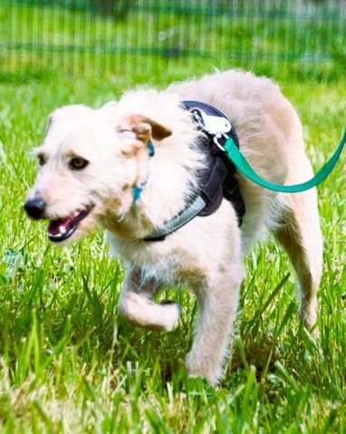 Patrick - auf dem Weg ins Vertrauen