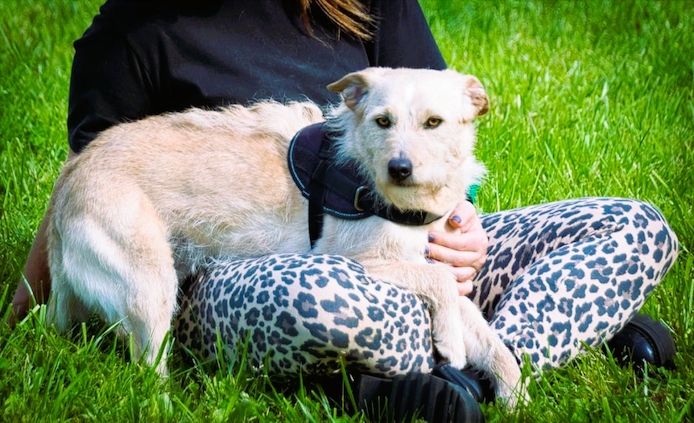 Patrick - auf dem Weg ins Vertrauen