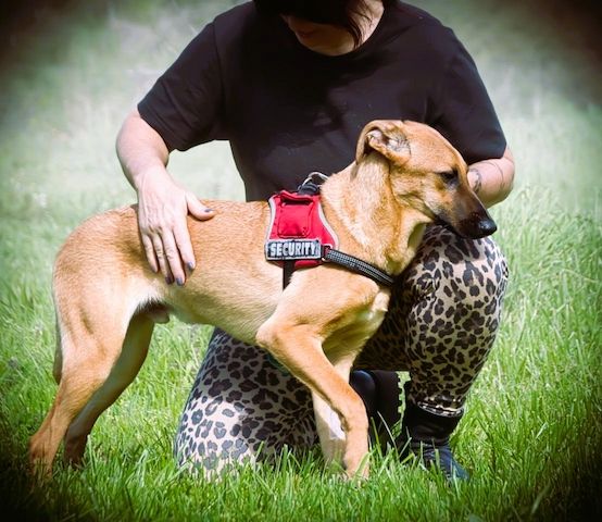 Delano - voller Charme und Lebensfreude