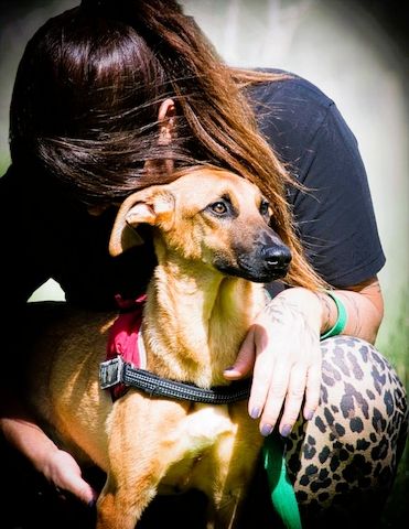 Delano - voller Charme und Lebensfreude