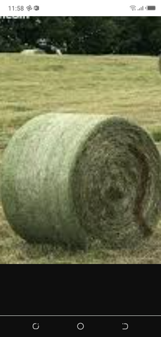 Verkaufen  Stroh und  heu