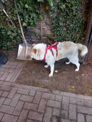 Mary Ann hofft auf eine 2 Chance bei ihren Menschen