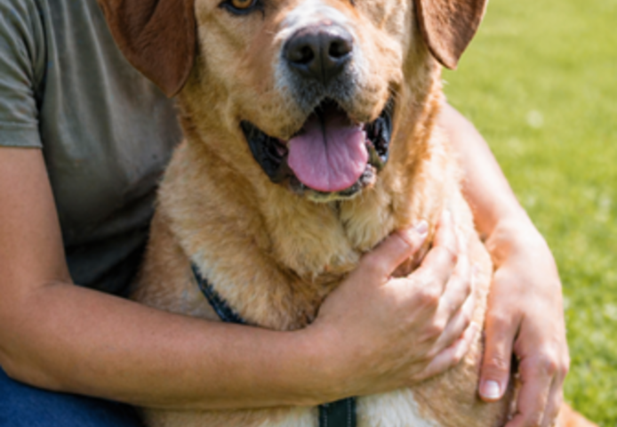 Valentim - ein Powerpaket