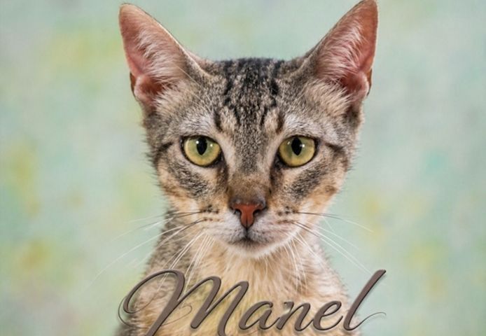 Manel - jung und verspielt