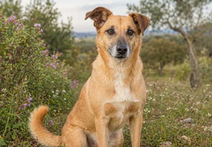 Sunny – eine selbstbewusste Dame