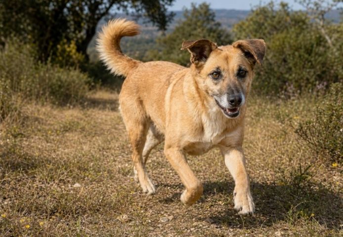 Sunny – eine selbstbewusste Dame