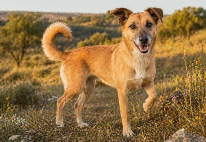 Sunny – eine selbstbewusste Dame
