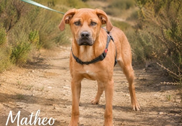 Matheo - bereit, die Welt zu entdecken